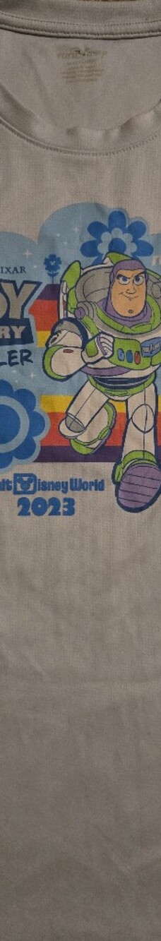 Run DISNEY